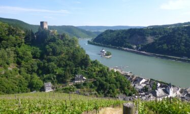 Rheinsteig Burg Maus