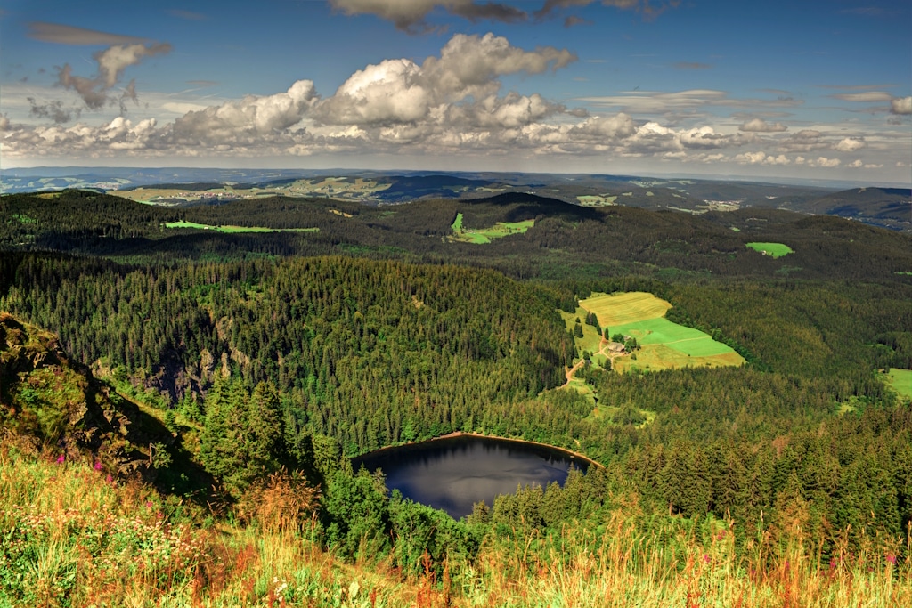 Panorama,Landscape,View,Over,Black,Forest,Germany
