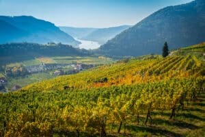 Wachau World Heritage Site in the Danube Valley