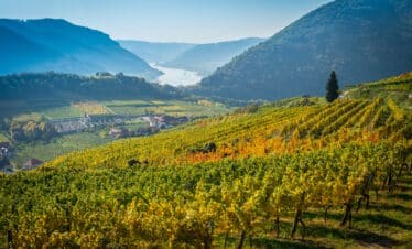 Welterbe Wachau im Donautal