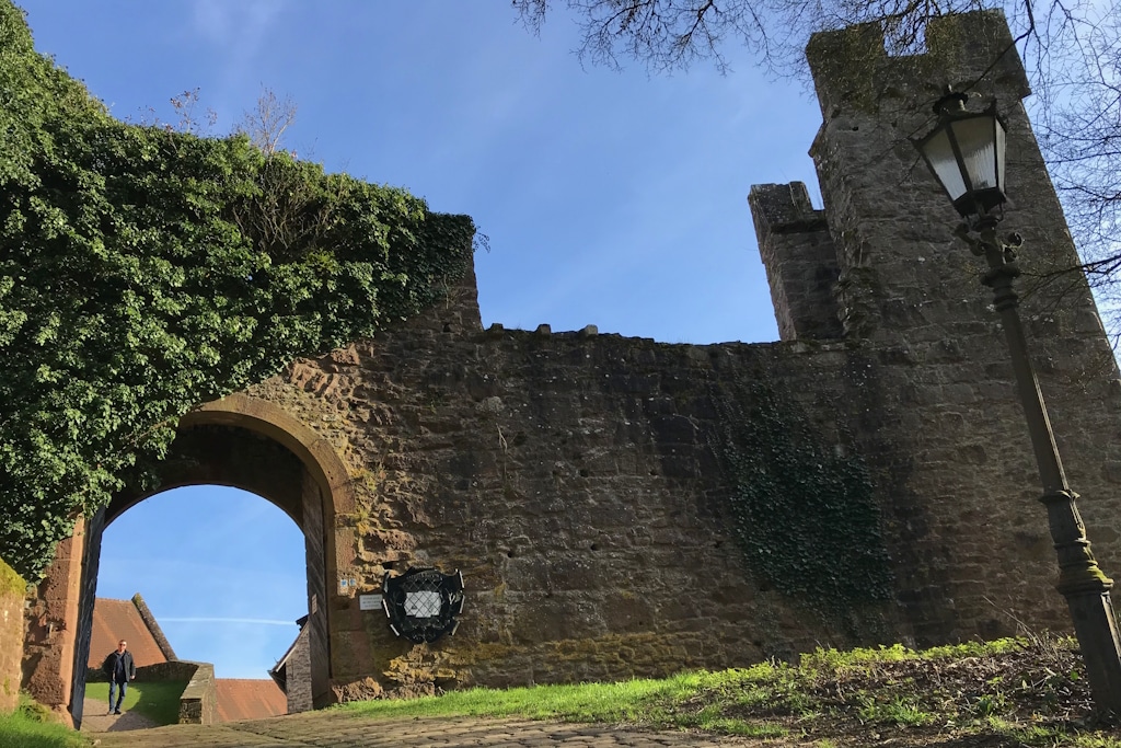Torbogen Burg Hirschhorn der unteren Vorburg