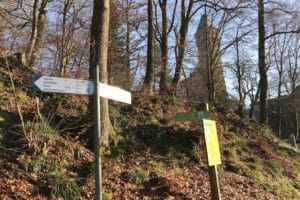 Burg Hirschhorn Neckarsteig Richtung Eberbach