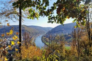 Eberbach - Neckartalwanderweg von Hirschhorn kommend