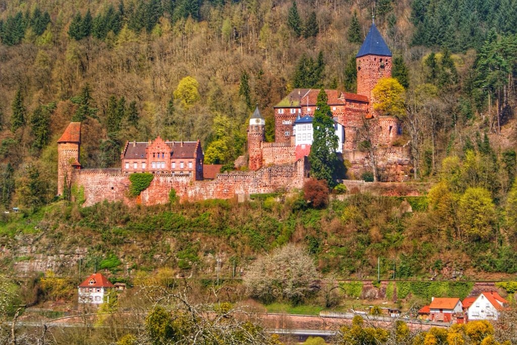 Burg Zwingenbarg am Neckar in Baden