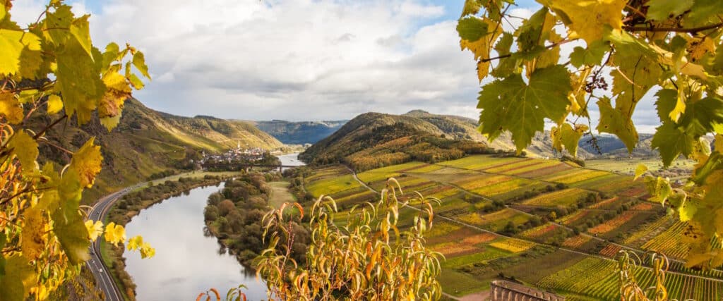 Mosel Wein Wandern