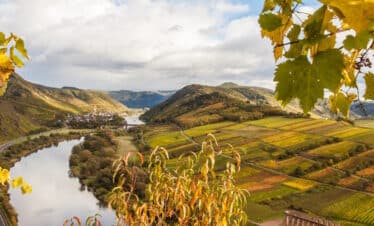 Mosel Wein Wandern
