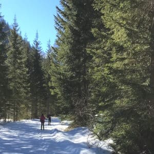 012365_Langlauf_2022_IMG_2146_1920_800