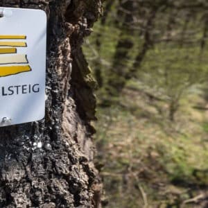 019541_Moselsteig_shst_405476758_1920_800