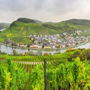 019542_Moselsteig_shst_1844738737_1920_800