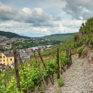 019543_Moselsteig_shst_1801203202_1920_800