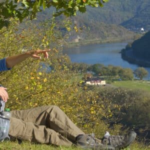 019548_Moselsteig_shst_88623445_1920_800