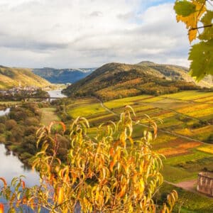019549_Moselsteig_shst_734654818_1920_800