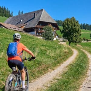 002810_schwarzwald_titisee_rad_2363835177_1920_800