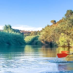 021752_kanu_shst_2394373589_1920_800