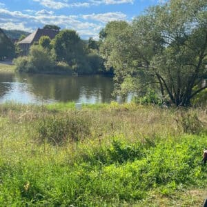 Maintal Mainradweg Würzburg