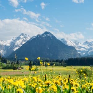 030813_Allgaeu_shst_1712809759_1920_800.jpg