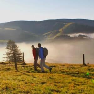 031531_Schwarzwald_1920_800