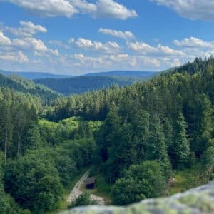 032222_Schwarzwald_Nationalpark_Schwarzenbach_See_IMG_4828_1920_800