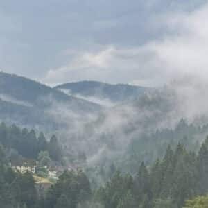 032223_Schwarzwald_Nationalpark_See_KleineKinzig_IMG_4909_1920_800