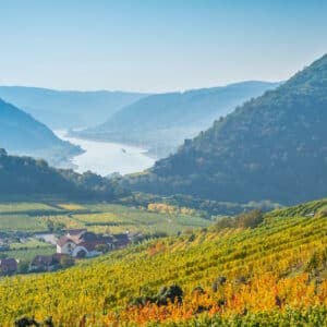 007421_donau_wachau_shst_1772177585_1920_800