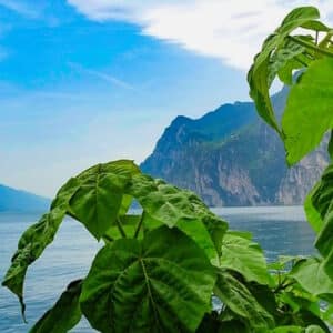 006023_Gardasee_eb_1920_800